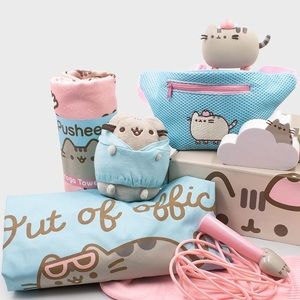 Pusheen Plush in a Hoodie